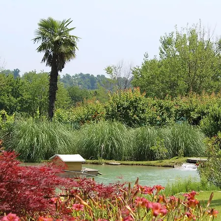 Barone D'asolo *